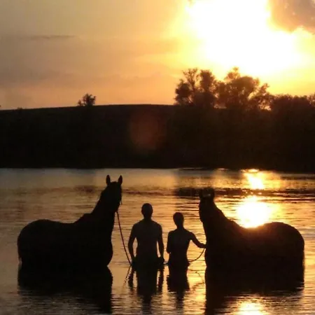Ruhige Im Nussbaumhof - Komfort & Historisches Ambiente Lägenhet Plath