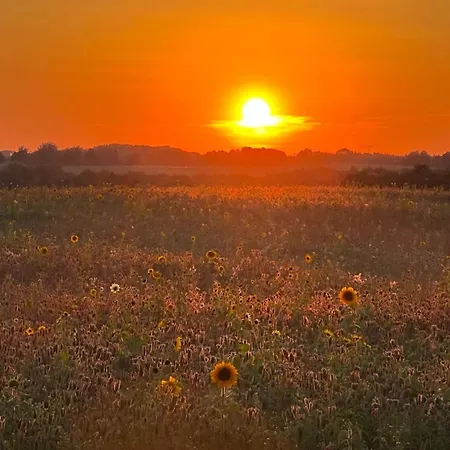 Ruhige Im Nussbaumhof - Komfort & Historisches Ambiente Lägenhet