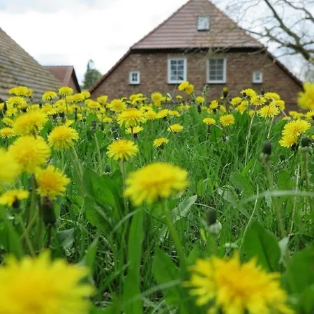 Apartment Ruhige Im Nussbaumhof - Komfort & Historisches Ambiente Plath